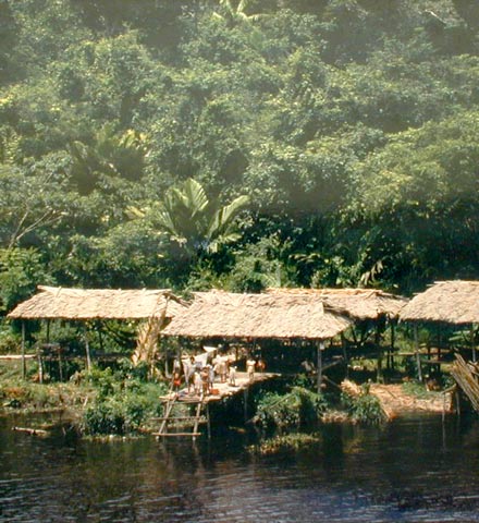 Des indiens Warao, dans la forêt vierge...